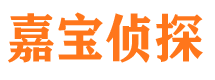 廛河外遇调查取证